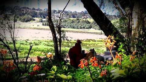 A La Folly - Accommodation Redcliffe 6