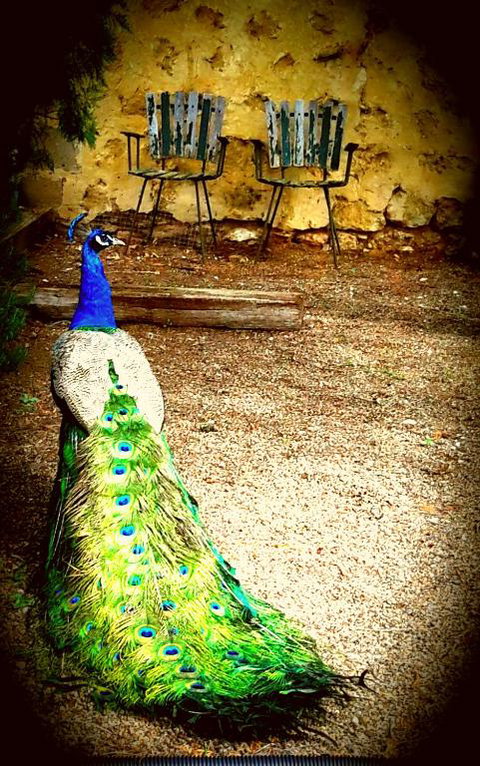 A La Folly - Accommodation Redcliffe 4