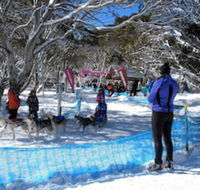 Cloud 9 Alpine Lodge - Accommodation Redcliffe