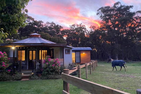 Ionaforest Yurt & Shepherds Hut - Accommodation Redcliffe 3
