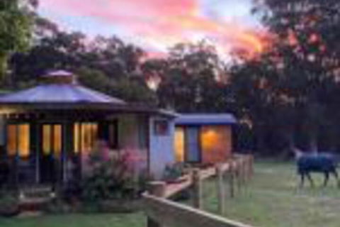 Ionaforest Yurt & Shepherds Hut - Accommodation Redcliffe 0