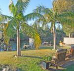 The Oasis on Jacobs Drive - Accommodation Redcliffe