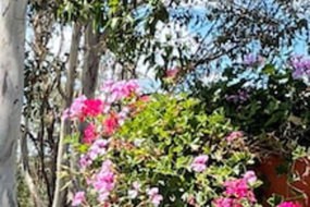 Book Crows Nest Accommodation Vacations Accommodation Redcliffe Accommodation Redcliffe