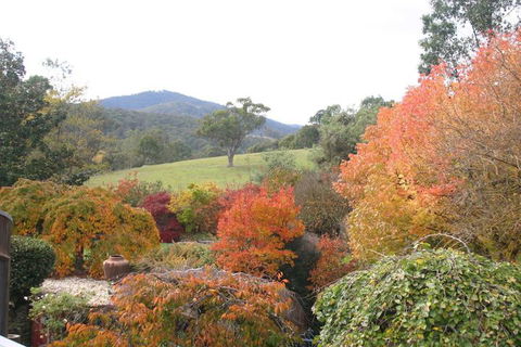 Riverhouse At Howqua Dale - Accommodation Redcliffe 5