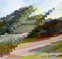 Wildflowers at Fingal Bay - Accommodation Redcliffe