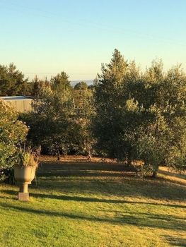 Eemnes Park Estate - Accommodation Redcliffe 4