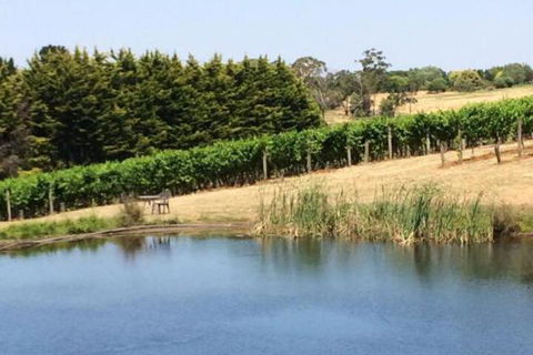 Seville Estate - Accommodation Redcliffe 3