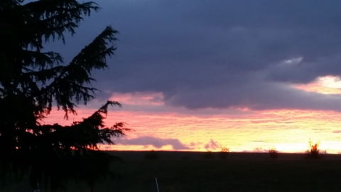 Jarrah Lodge - Accommodation Redcliffe 3