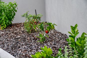 Oceanic Resort - Accommodation Redcliffe 3