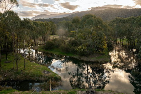 Dreaming Of The Buckland - Accommodation Redcliffe 1