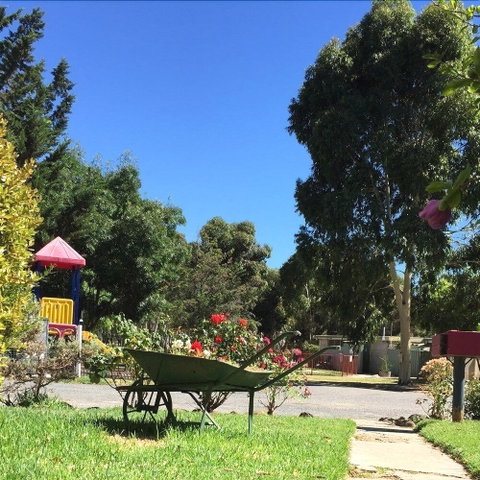 Acacia Caravan Park - Accommodation Redcliffe 6