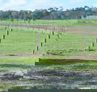 Yea Woodduck Cottage - Accommodation Redcliffe