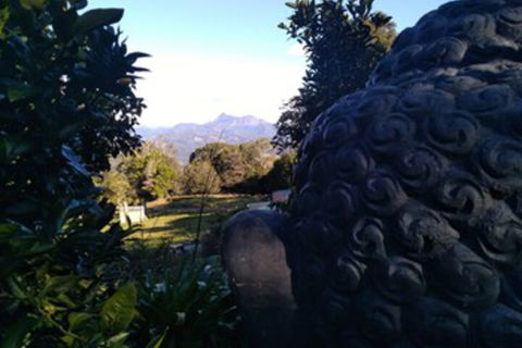 Ruah Rain Forest Retreat - Accommodation Redcliffe 0