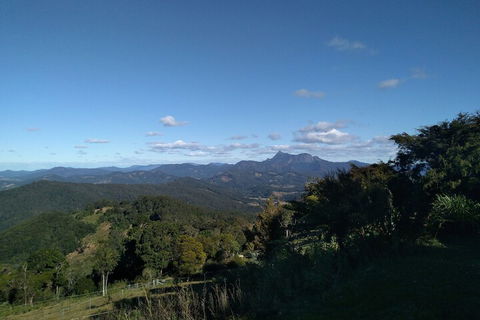 Ruah Rain Forest Retreat - Accommodation Redcliffe 6