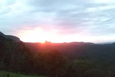Ruah Rain Forest Retreat - Accommodation Redcliffe 4