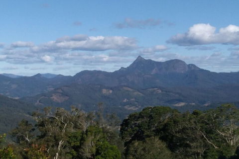 Ruah Rain Forest Retreat - Accommodation Redcliffe 2