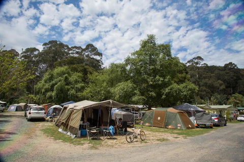 Warburton Holiday Park - Accommodation Redcliffe 2