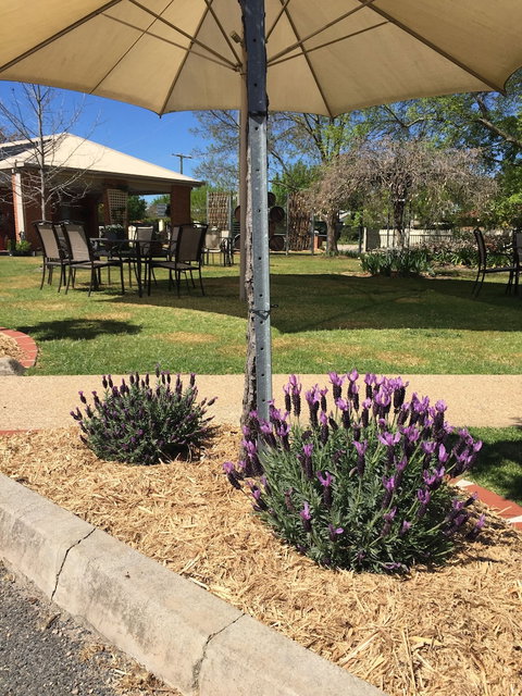 Wine Village Motor Inn - Accommodation Redcliffe 4