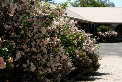 Wine Village Motor Inn - Accommodation Redcliffe 1
