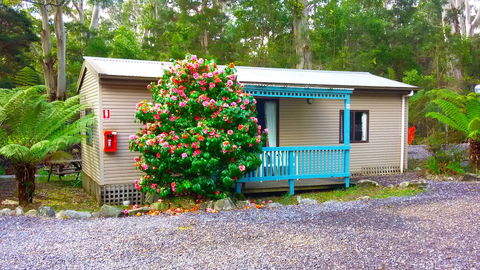 BIG4 Strahan Holiday Retreat - Accommodation Redcliffe 6