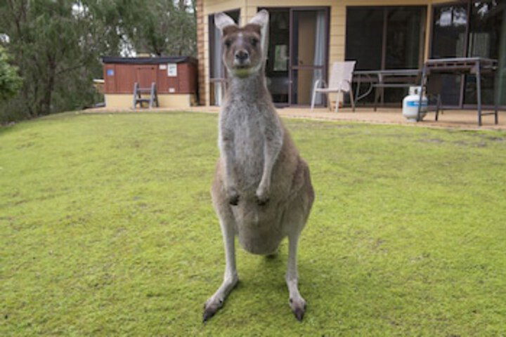 Metricup WA Accommodation Redcliffe
