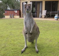 Yelverton Brook Conservation Sanctuary - Accommodation Redcliffe