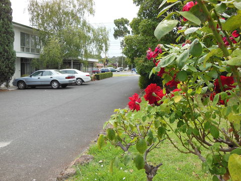 Ringwood Motel - Accommodation Redcliffe 1
