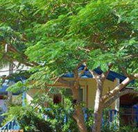 Amber Gardens Guesthouse - Accommodation Redcliffe