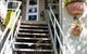 Nelson Bay Bed & Breakfast - thumb 2