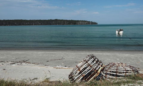 Rock Lobster - Accommodation Redcliffe 5