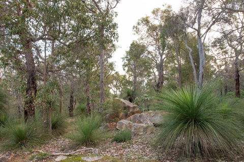 A Hidden Bush Delight - Accommodation Redcliffe 6