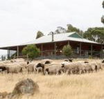 Gilgraves Vineyard Farmstay - Accommodation Redcliffe