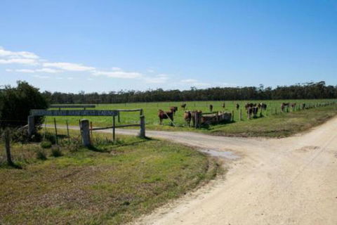 Brodribb River Rainforest Cabins Cabin 3 - Accommodation Redcliffe 7