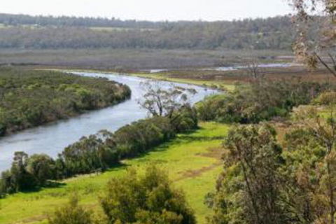 Brodribb River Rainforest Cabins Cabin 1 - Accommodation Redcliffe 4