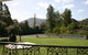 Colins Garden - thumb 4