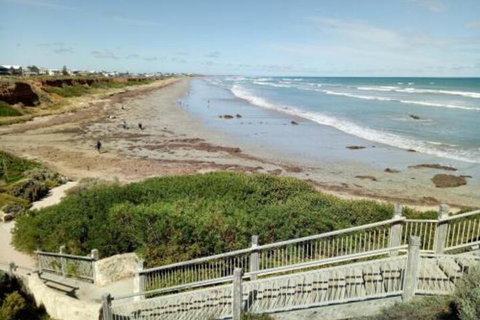 Driftwood On Dover - Accommodation Redcliffe 0