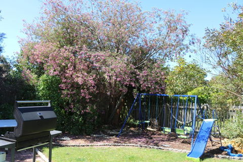 Sisters Beach Paradise - Accommodation Redcliffe 3