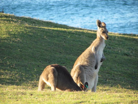 Lake Russell Retreat - Accommodation Redcliffe 6