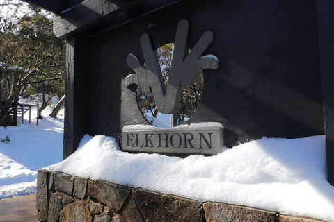 Elkhorn 11 - Accommodation Redcliffe 1