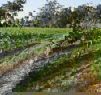 Renovated Cottage Aberdare Hunter Valley - Accommodation Redcliffe
