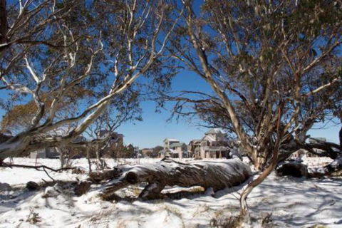 Howmans - Accommodation Redcliffe 5