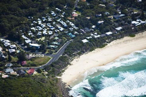 KENTIA - Accommodation Redcliffe 0