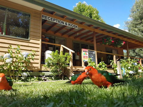 Jamieson Caravan Park - Accommodation Redcliffe 4