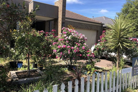 Apple House - Accommodation Redcliffe 2