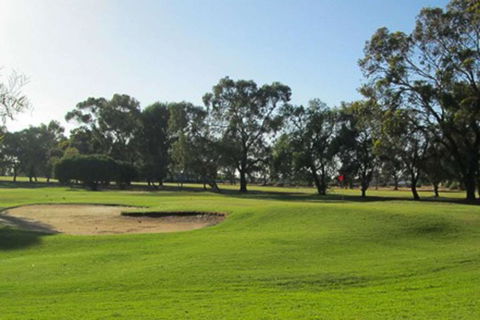 Barmera Country Club Motor Inn - Accommodation Redcliffe 3