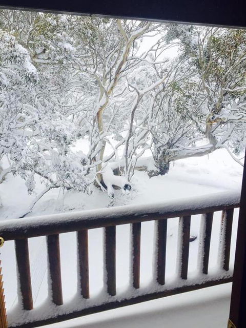 Snowmass Chalet - Accommodation Redcliffe 4