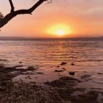 Paradise Beach Apartments - Accommodation Redcliffe 0
