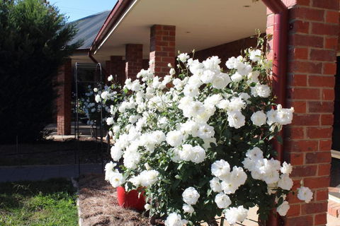 Gundaroo Manor Bed & Breakfast - Accommodation Redcliffe 1