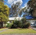 Pet Friendly Summer Cottage - Accommodation Redcliffe