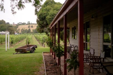 Fergusson Winery Homestead Accomodation - Accommodation Redcliffe 2